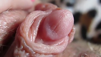 Up-Close View Of My Large And Throbbing Clitoris